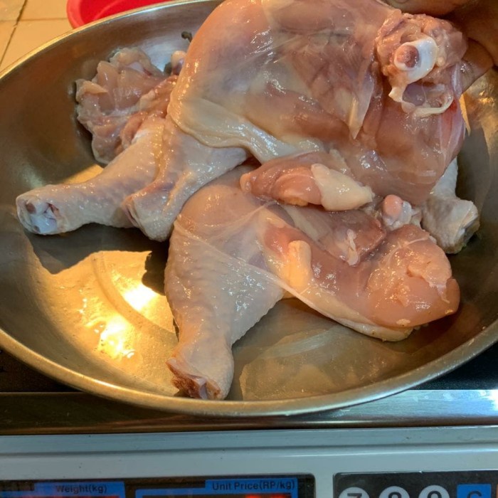 

Paha Ayam Utuh / Paha L