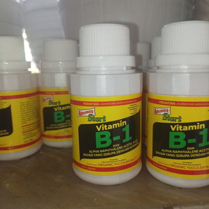 READY PUPUK VITAMIN B1