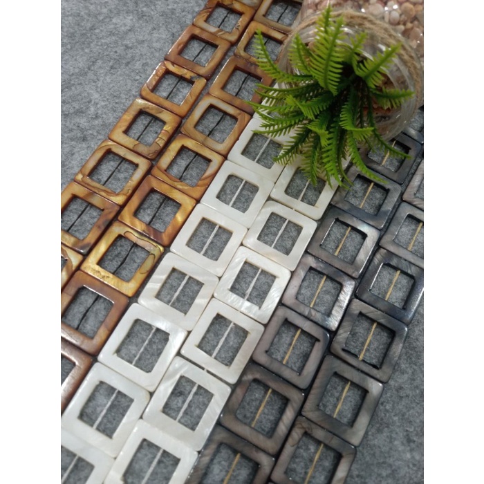 

siap kirim] KERANG PIPIH LUBANG KOTAK