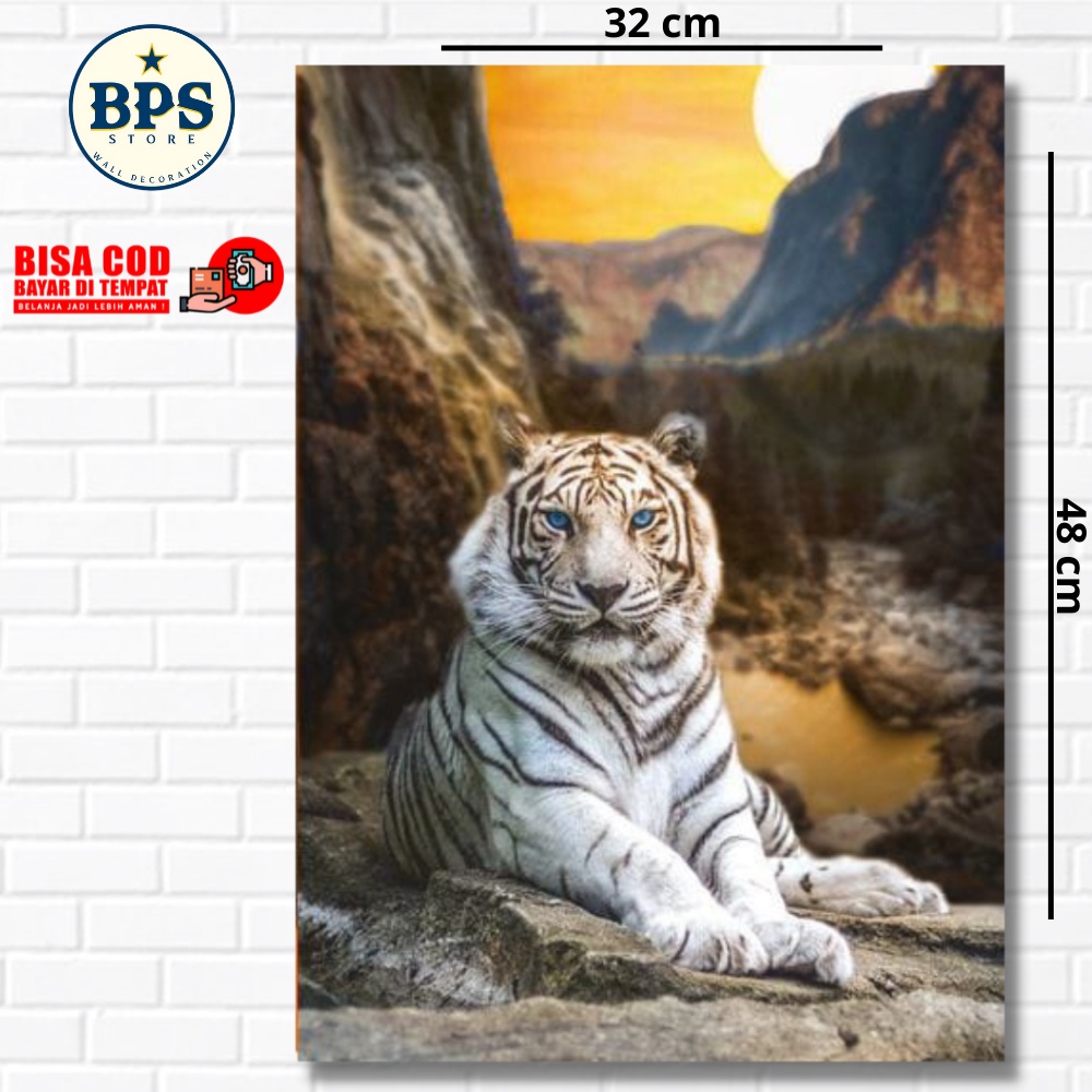 Discount Poster Macan Putih - Foto Macan Putih - Walldecoor - Hiasan Dinding - Hiasan Kamar - Hiasan
