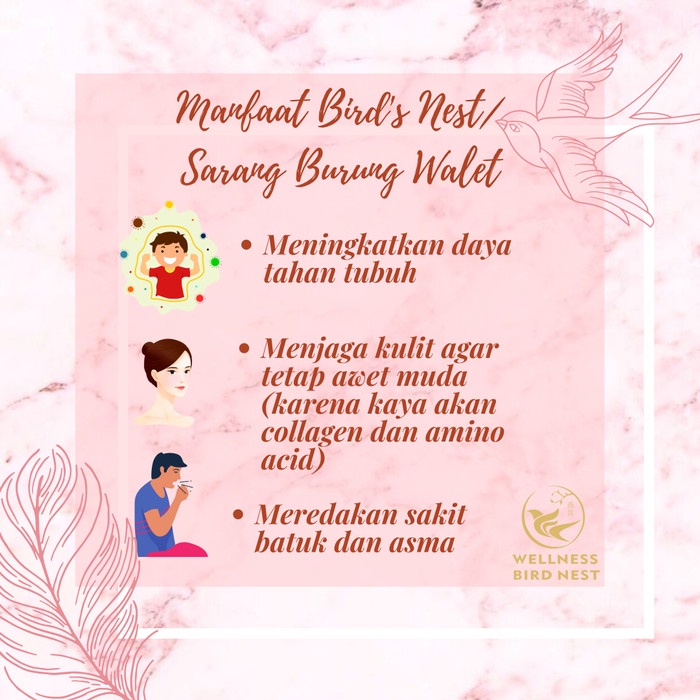 

Sarang Burung Walet Wellness Bird Nest dgn/tanpa Gula Batu(3 jar) -35%