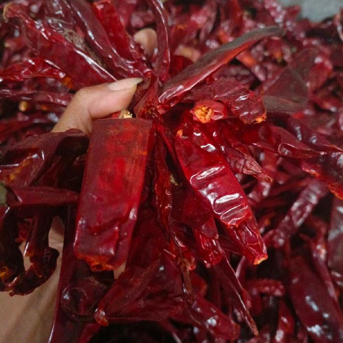 

KEMASAN ( 1.KG ) CIKURBUMBU DAPUR SEGAR WANGI COCOK UNTUK BUMBU SEBLAK DLL Baso(