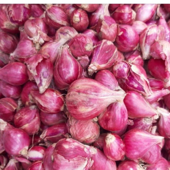 

Sale! Bawang Merah Brebes