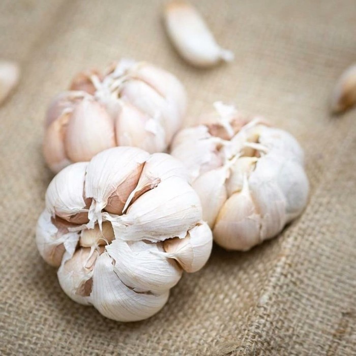 

Sale! Bawang Putih Segar