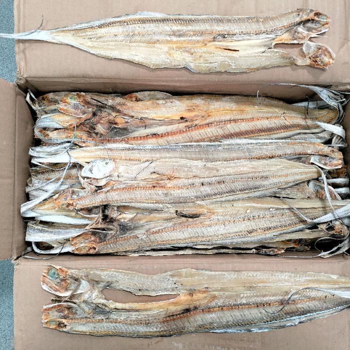 

SALE !!! IKAN ASIN LAYUR BELAH SEMI TAWAR KUALITAS SUPER FISH LAUT READYY