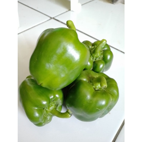 

paprika segar 500gr sayuran