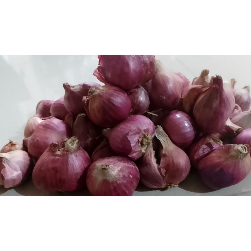 

Bawang merah kering ukuran jumbo dan besar edang 1kg