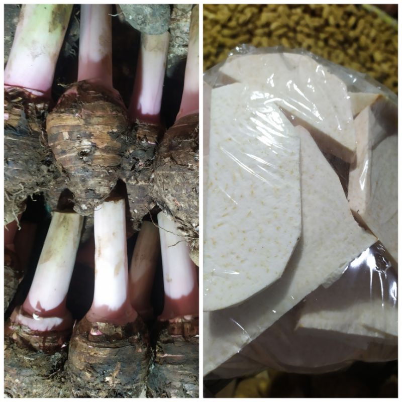 

Talas Kupas / Talas Utuh / Talas Bogor 1.Kg