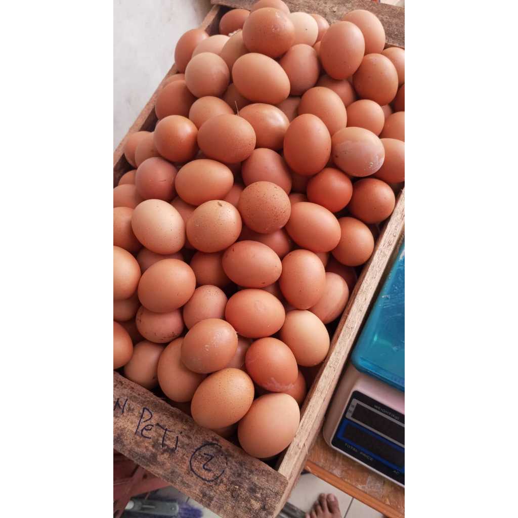 

TELUR AYAM NEGERI /KG