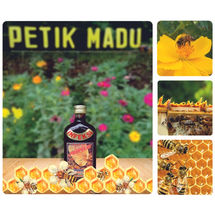 

BARANG TERLARIS Madu Propolis Infeksi 250 ml