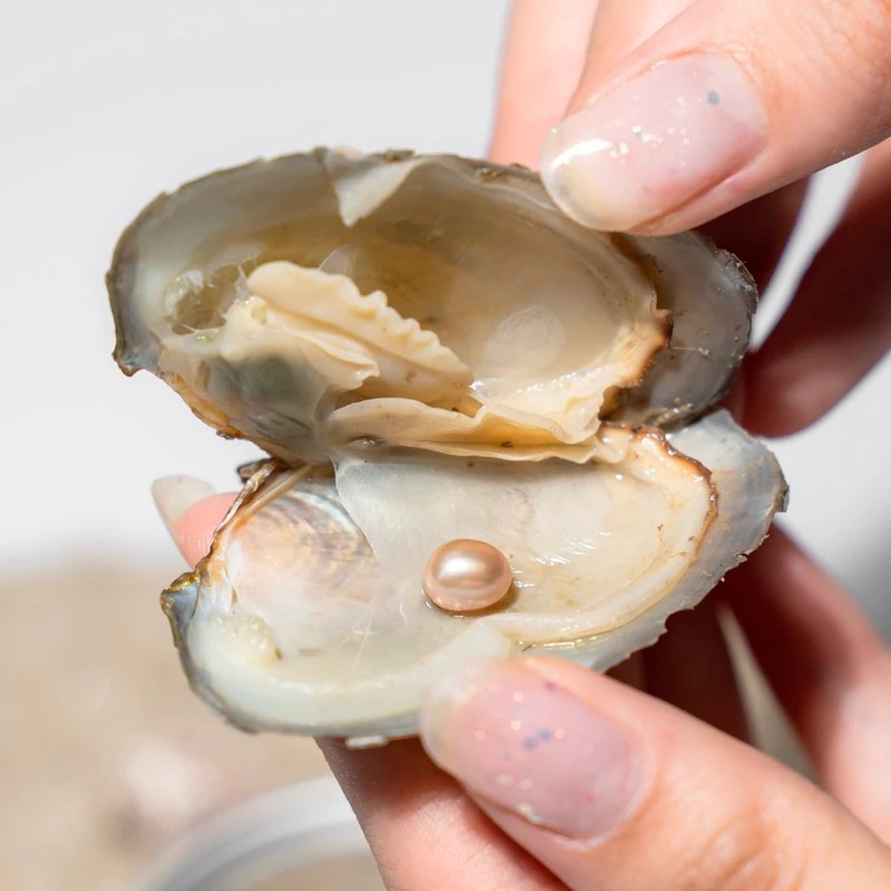 [READY] Kalung Mutiara Kerang Tiram Asli Oyster Necklace Oyster Hadiah Anniversary Birthday Gift