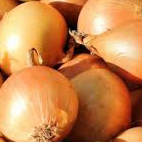 

HJK bawang bombay murah 1kg