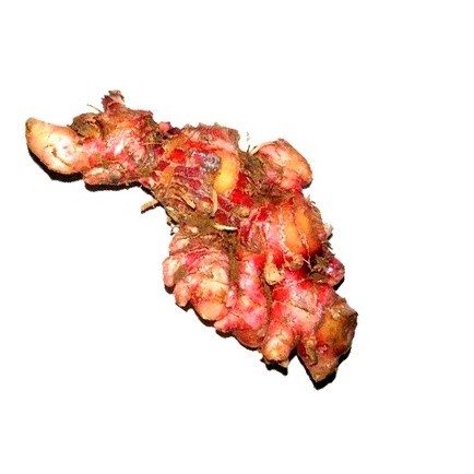 

HJK jahe merah organik 250gr
