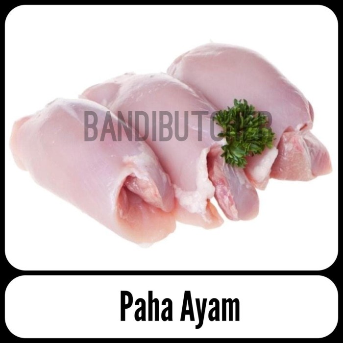 

HJK Fillet Paha Ayam Tanpa Tulang Tanpa Kulit / Paha Ayam Segar Grosir