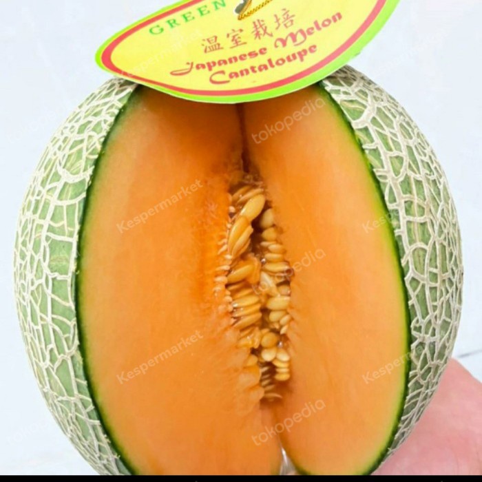 Melon Catalope Jepang / Melon Manis - Asli