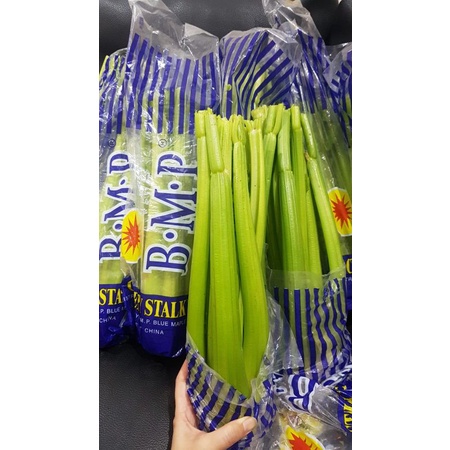 

HARGA 1KG Celery Stick import / Seledri Stik import,kualitas PREMIUM dan FRESH.