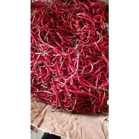

Cabe / Cabai KRITING MERAH Segar / KG