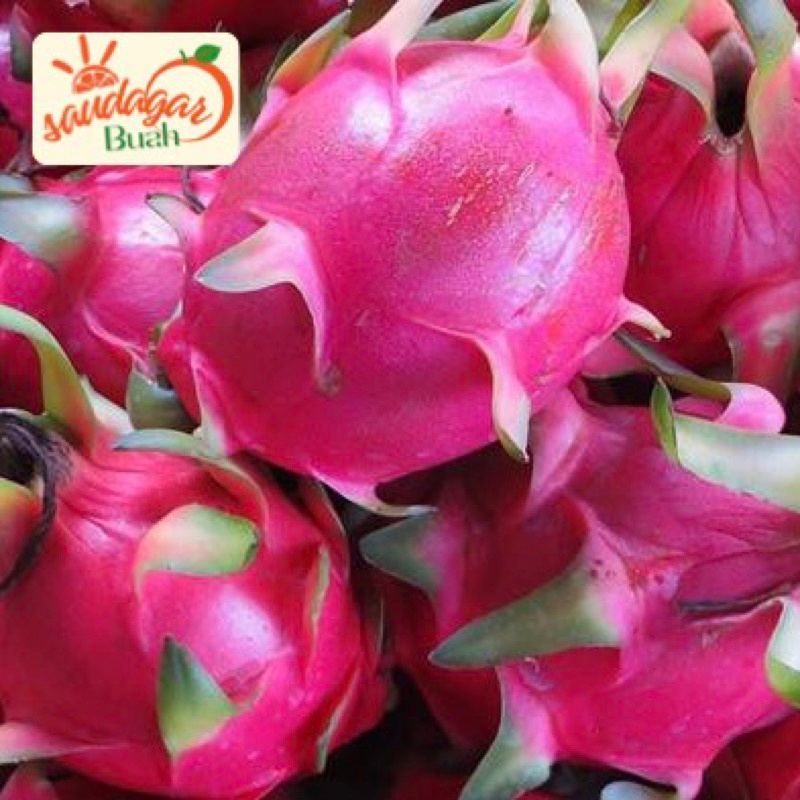 

BUAH NAGA MERAH MANIS 1KG
