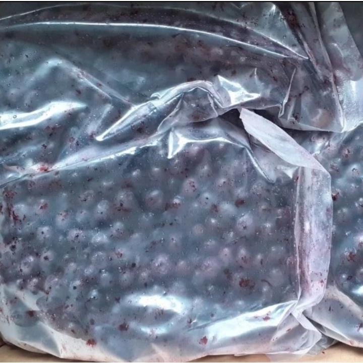 Frozen Fruit Blueberries Buah Blueberry Beku