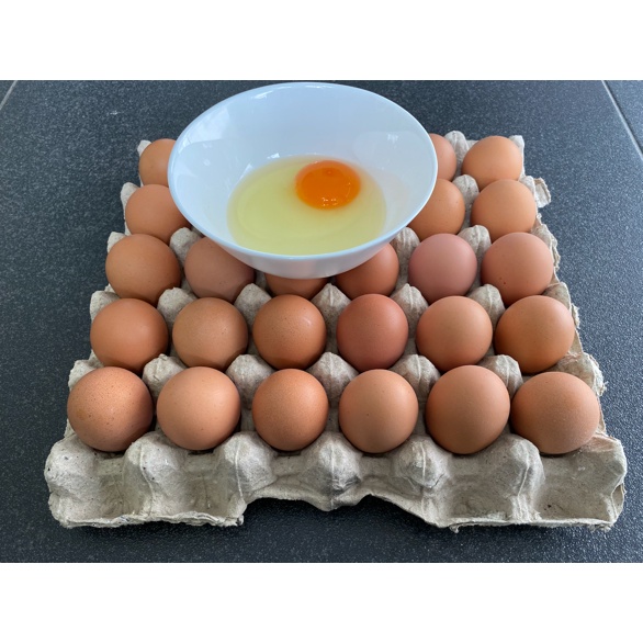 

Telur Omega 3 Nabati per 1 papan 30 butir Segar dari Kandang NKV