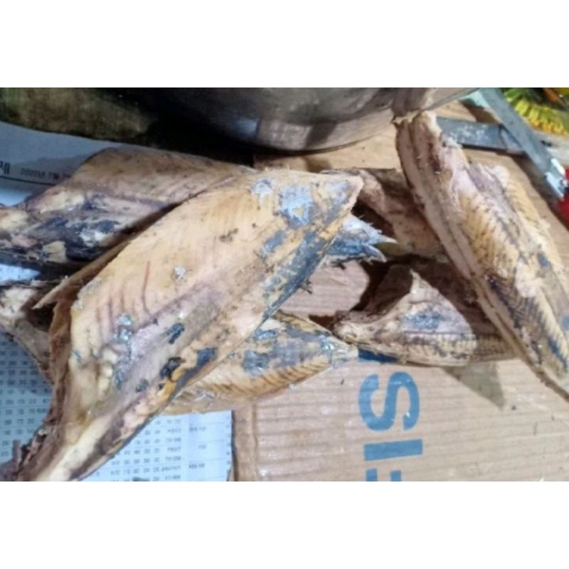 

ikan tongkol cuek rebus satu biji utuh