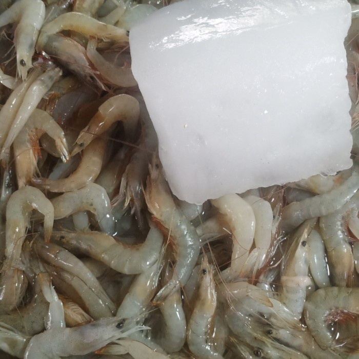 

(Good) udang banana 1 kg