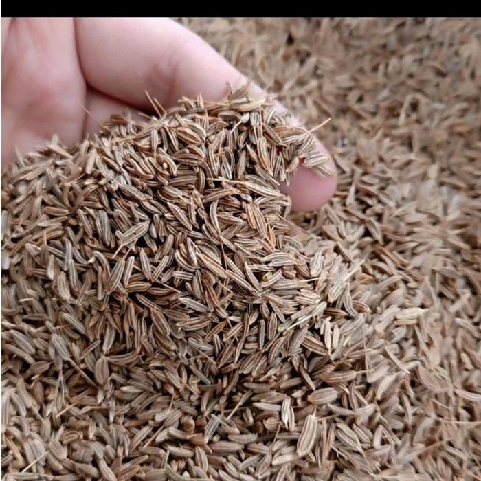 

Jinten Utuh / Cumin Seeds - 250 Gram Premium