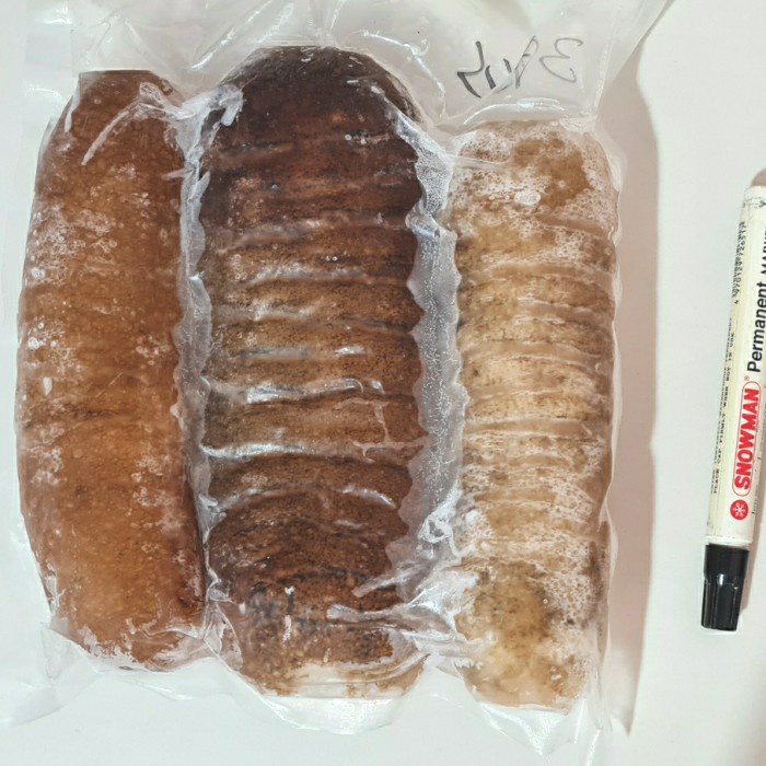 

haisom hoisem hai som hoisem hoysem belitung teripang tripang gosok