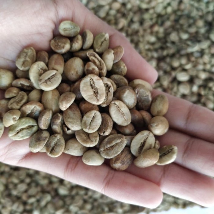 (Good) 1Kg Biji kopi Robusta mentah