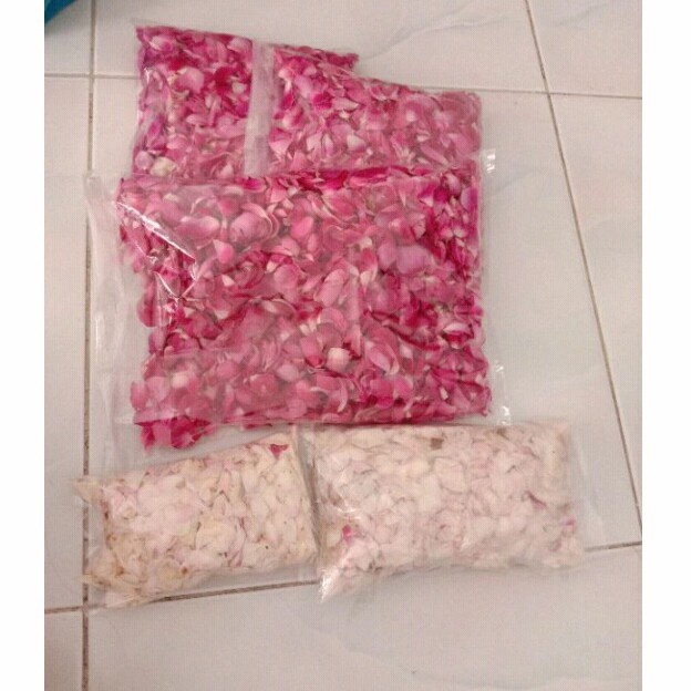 KELOPAK BUNGA MAWAR KAMPUNG/LOKAL MAWAR TABUR WANGI PINK PUTIH