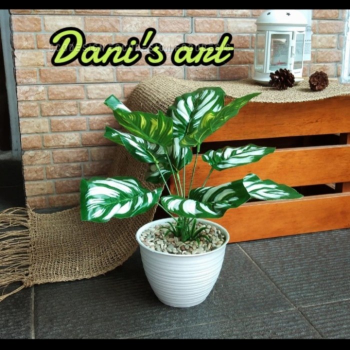 *TOP* KELADI KUNING / KELADI PALSU/ TANAMAN HIAS/ KELADI ARTIFICIAL