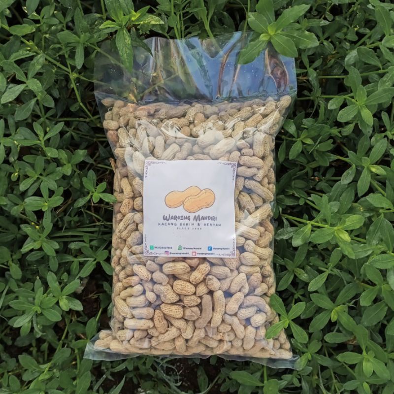 

KACANG SANGRAI 1KG CAP MANDIRI SUBANG
