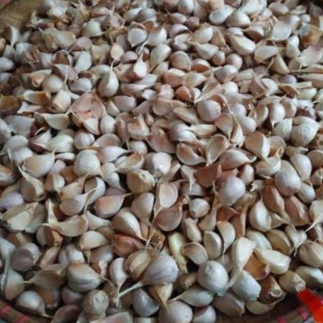 

BAWANG PUTIH KATING 1000 gr