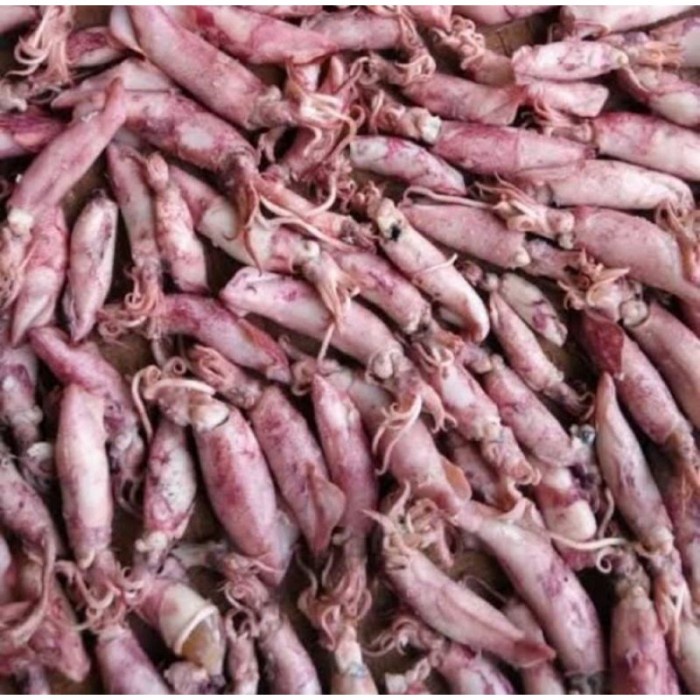 

Ikan asin cumi-1kg KHR