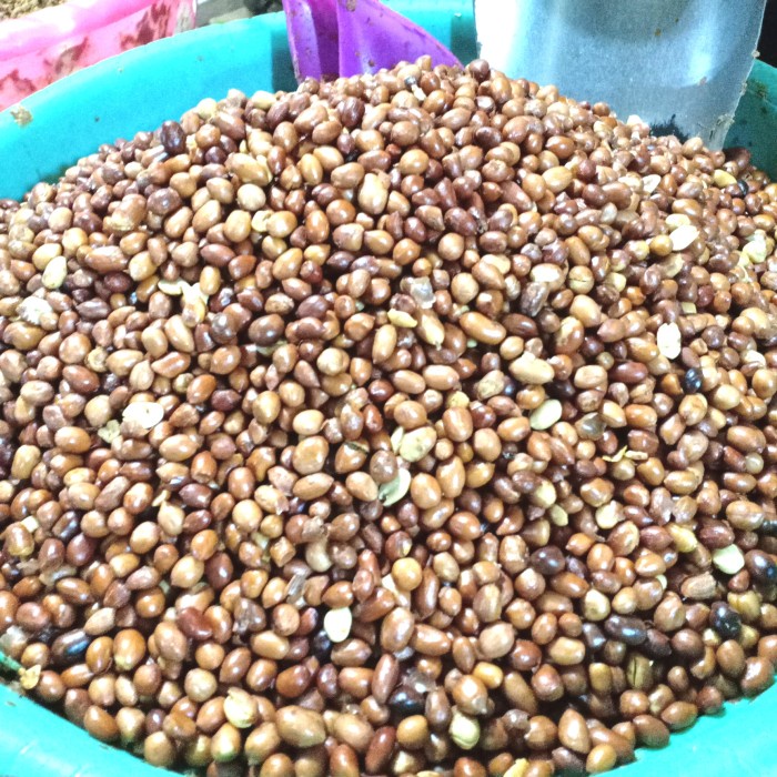 

Kacang Tanah Goreng 500gr Kacang Tanah Matang Bumbu