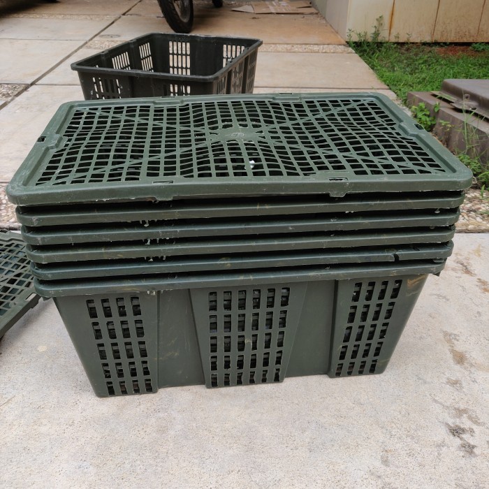 EKSLUSIF Keranjang Buah / Krat Plastik Buah - Bekas Sekali Pakai