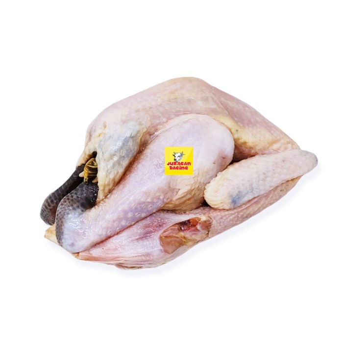 

Ayam kampung ukuran 500 - 600 gram