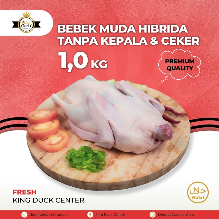 

DAGING BEBEK HIBRIDA 1,0 KG TANPA KEPALA