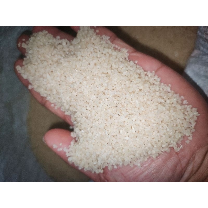 

Makanan Tradisional Oyek Leye Nasi Tiwul Kering