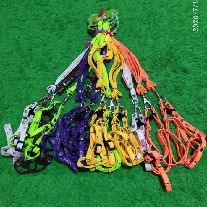 Ready Harnes Tali Tuntun Kucing Anjing Kecil - Tali Harnes Kucing Anjing 5