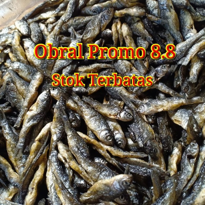 

ikan kering bilih fres segar