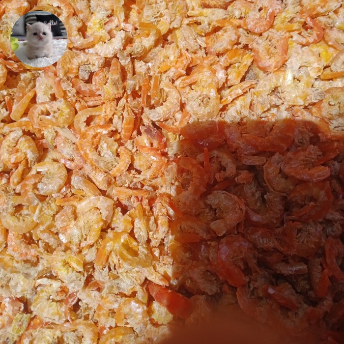

hebi/ebi/udang kering kalimantan merah super