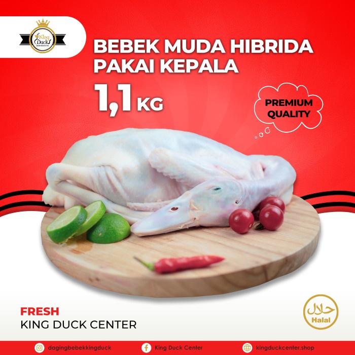 

DAGING BEBEK HIBRIDA 1,1 KG PAKAI KEPALA