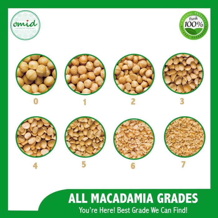 

JTTOP" ROASTED MACADAMIA NUTS (KACANG MACADAMIA PANGGANG) 250GR
