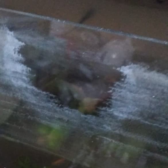 

TERUJI SUPER GLASS CLEANER PEMBERSIH KERAK AQUARIUM KACA DAN AKRILIK