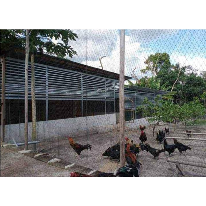 Terbaru Jaring Ayam Lubang 1 cm / Jaring Pagar Ayam / Jaring Kandang Ayam Berkualitas