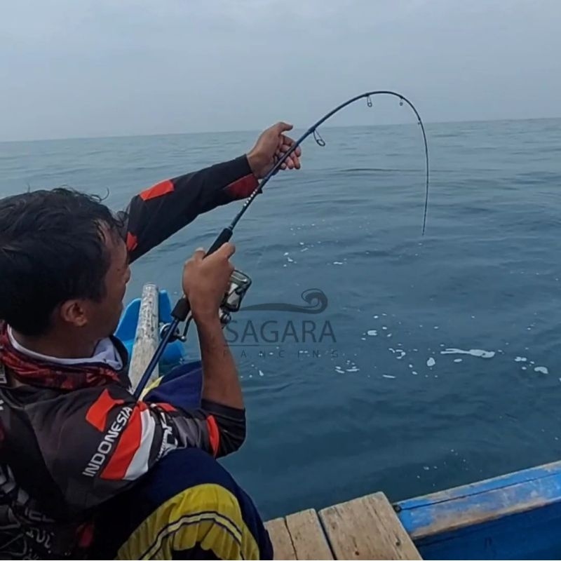 Joran Daiwa Jerker Joran Slow Jigging Rod Jigging Joran Solid Carbon Ring Sudah Fuji