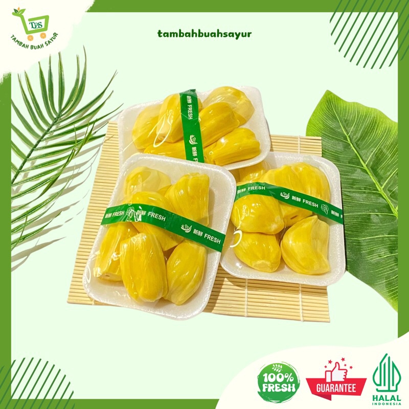 

NANGKA KUPAS FRESH 1 PACK (KHUSUS SAMEDAY DAN INSTAN) WE!
