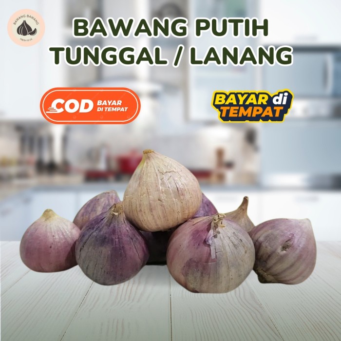 

BARANG TERLARIS Bawang Putih Tunggal Lanang Kecil 1Kg