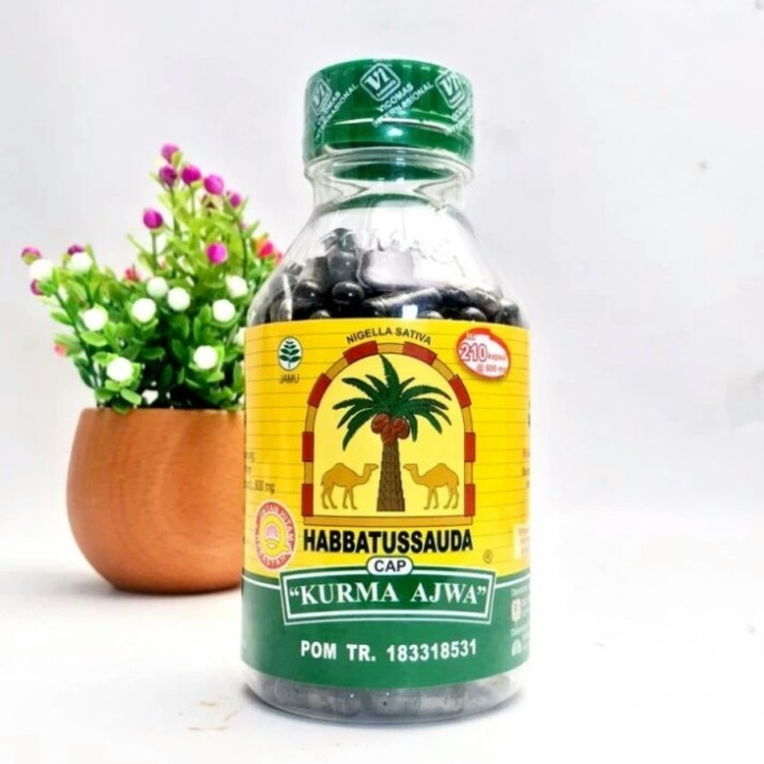 

Habbatussauda Cap Kurma Ajwa 210 Kapsul